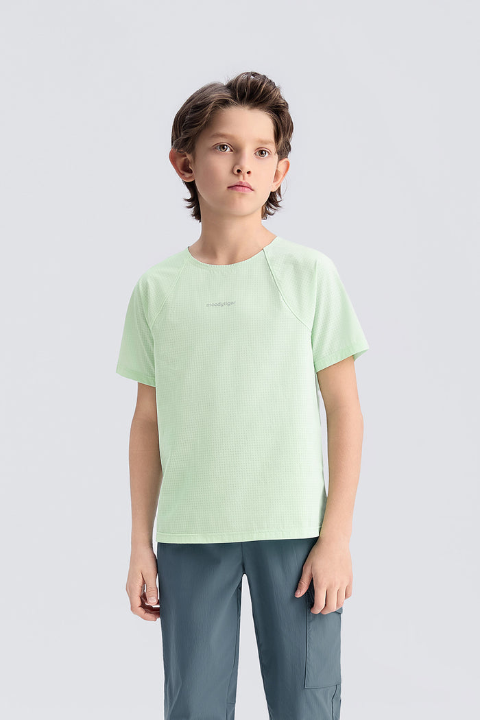 Mint / 6 (120)