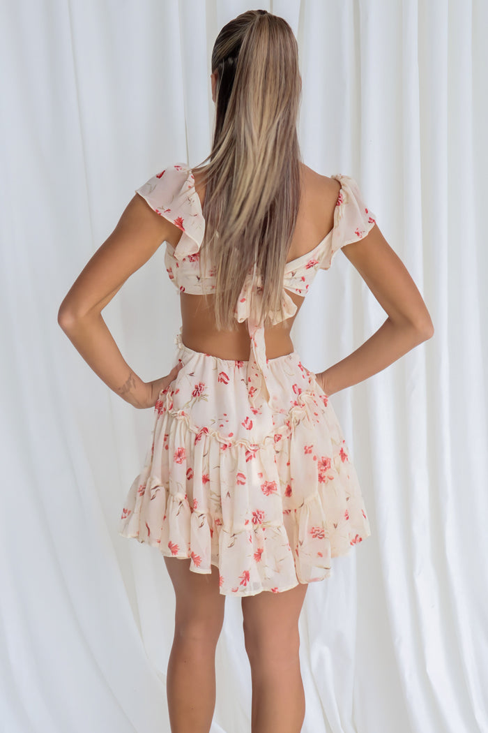 Aspin Mini Dress - Beige/Red Floral - Runway Goddess