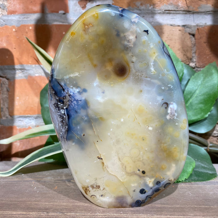 Dendritic Agate Free Form