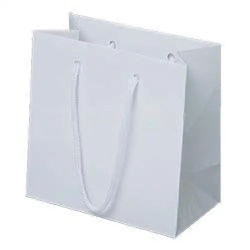 Euro Bags with Paper Handles - 6-1/2 x 3-1/2 x 6-1/2 /
