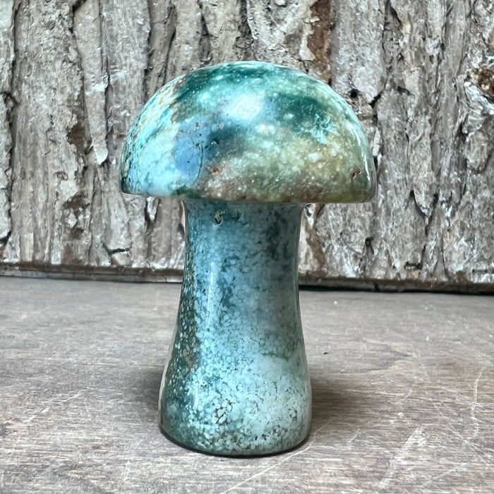 Gemstone Mushrooms