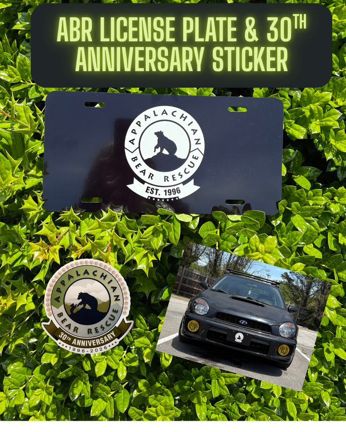 License Plate with 30th Anniversary Sticker