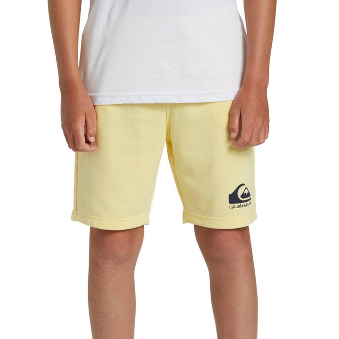 Quiksilver Easy Day - Sweat Shorts For Boys 8-16