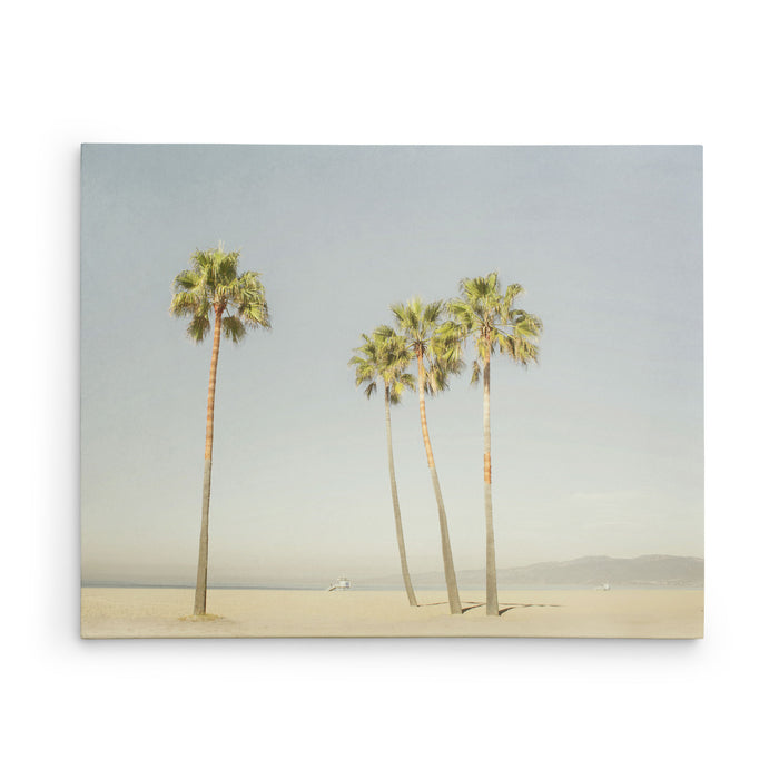 Boardwalk Palms