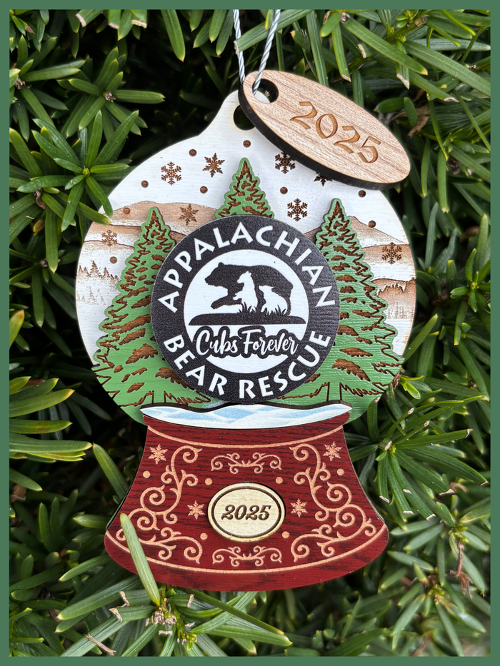 2025 Cubs Forever Wooden Ornament