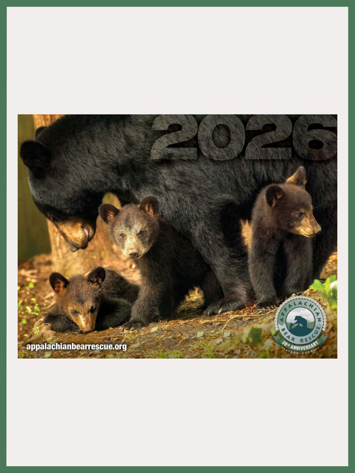 2026 ABR Calendar (30th Anniversary Edition)