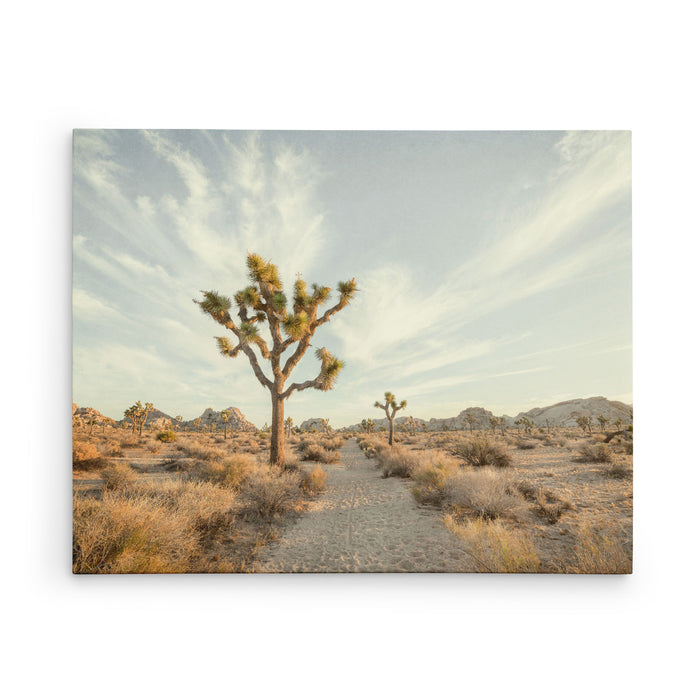 Path to Joshua