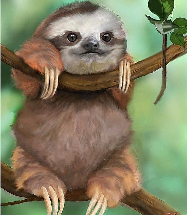 5D DIY Cute Sloth Diamond Paintings - Assorted Sizes