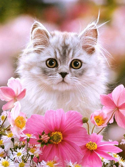 5D DIY Gorgeous Cat Design Diamond Painting