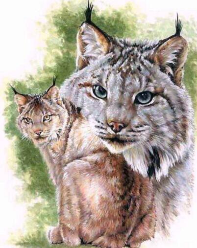 5d Hotsale Diamond Painting Kit - DIY Custom Kits  101