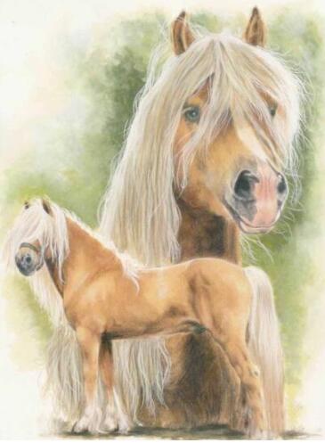 5d Hotsale Diamond Painting Kit - DIY Custom Kits  118