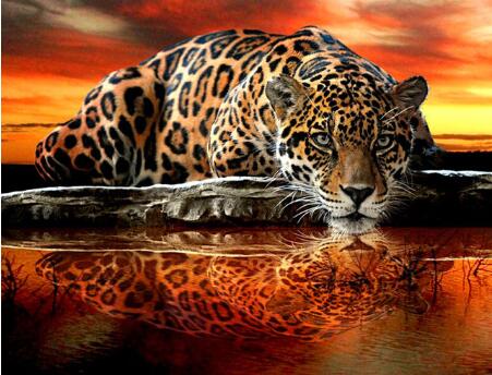 5d Hotsale Diamond Painting Kit - DIY Custom Kits  159