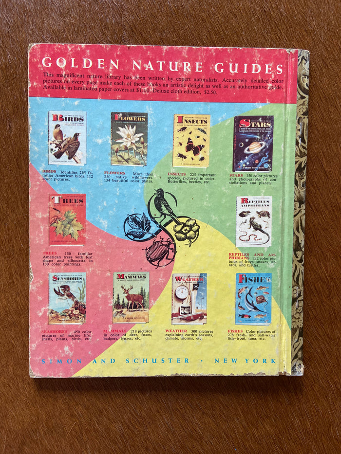 Vintage Little Golden Book Warner Bros. Cheyenne Western First Edition Letter A - Deer Creek Mercantile