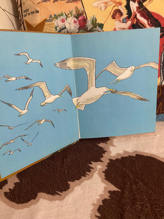 Vintage Birds Do The Strangest Things 1965 Book - Deer Creek Mercantile