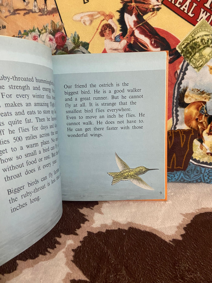 Vintage Birds Do The Strangest Things 1965 Book - Deer Creek Mercantile