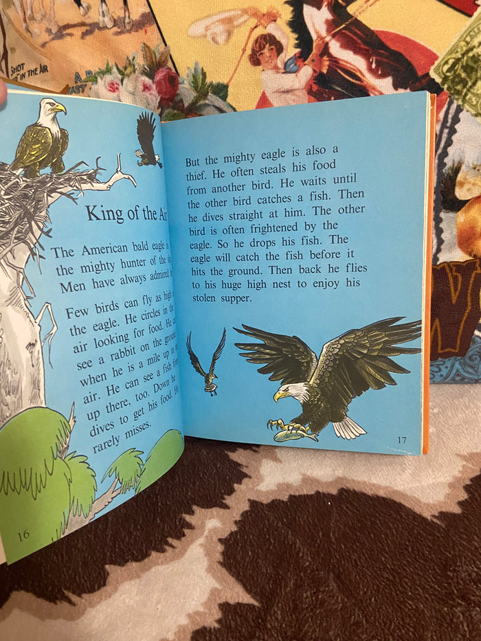 Vintage Birds Do The Strangest Things 1965 Book - Deer Creek Mercantile