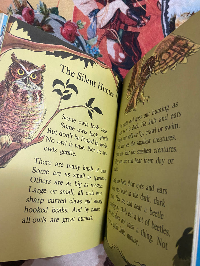 Vintage Birds Do The Strangest Things 1965 Book - Deer Creek Mercantile