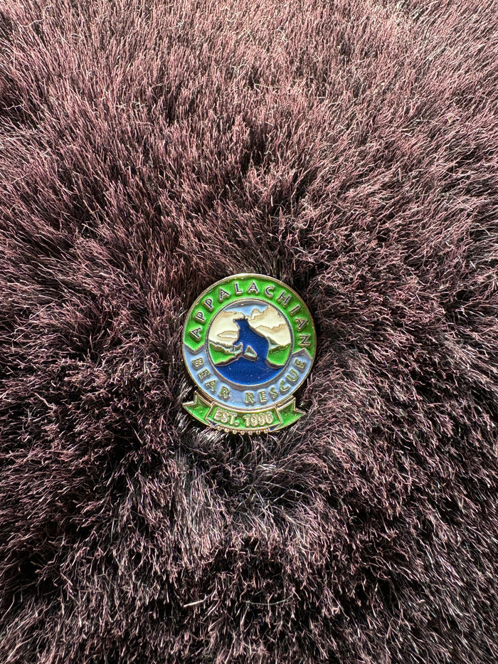 ABR Logo Pin