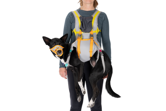 Backtrak Evacuation Kit Cloudburst Gray (045)