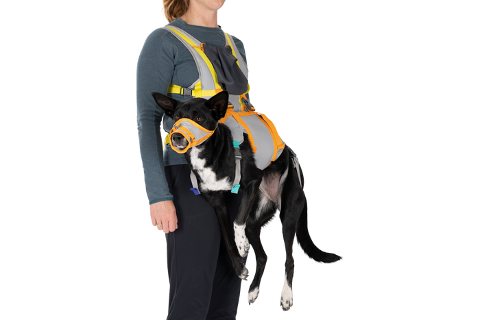 Dog Emergency Evacuation Kit Cloudburst Gray (045)