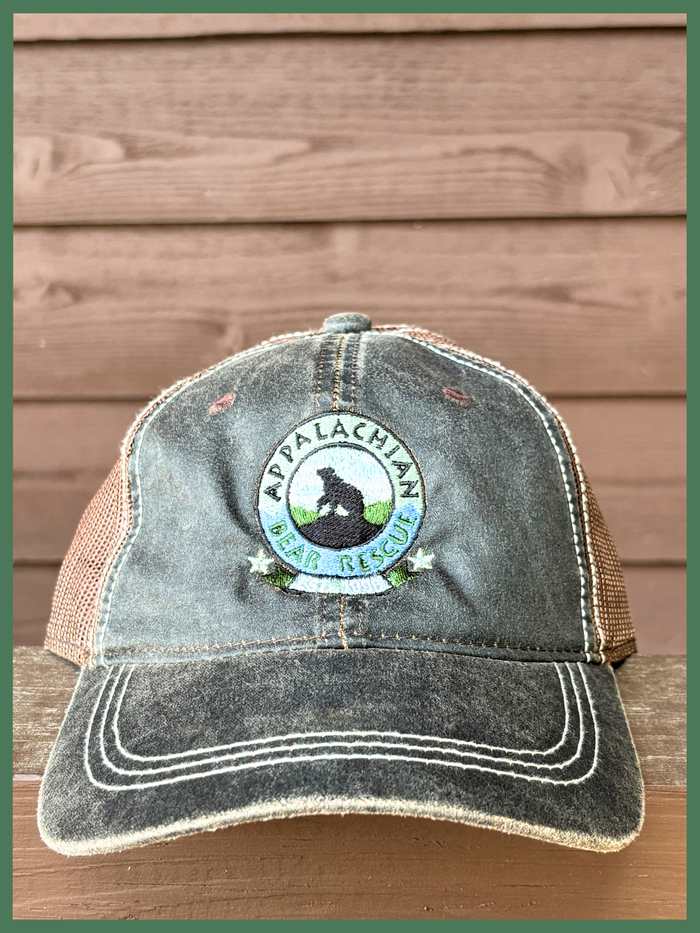 Mesh Back Brown Cap