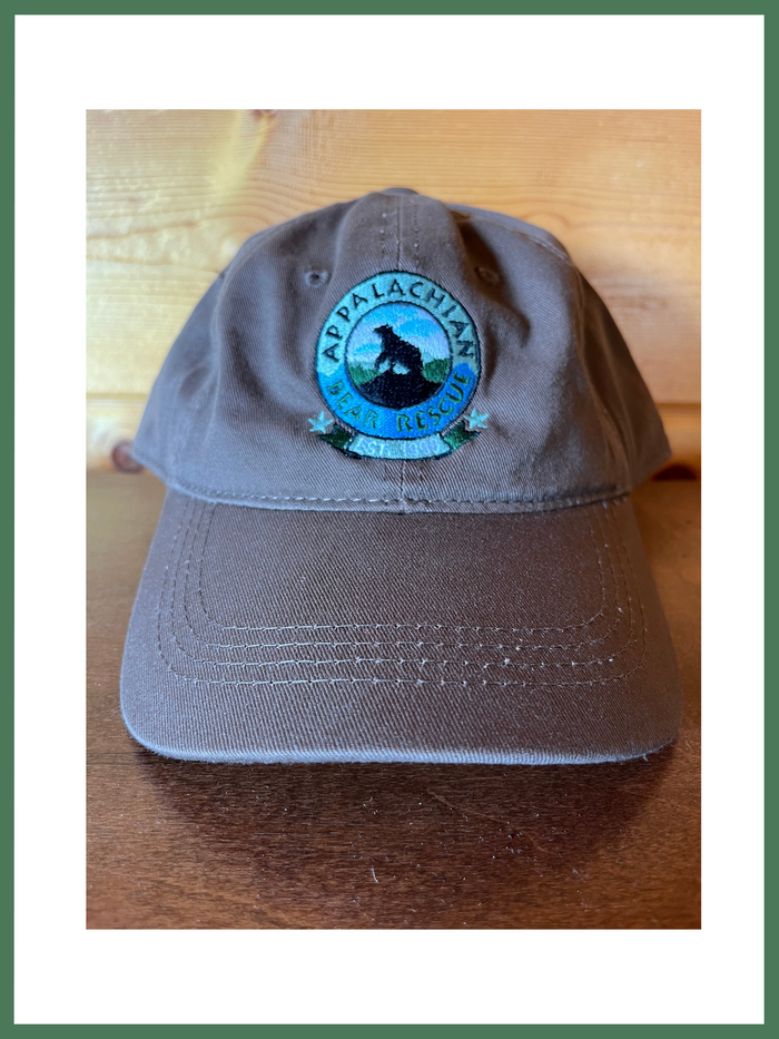 Solid Back Brown (Out of Stock)