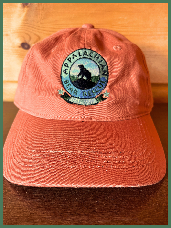 Solid Back Pumpkin (Out of Stock)