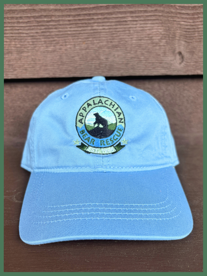 Solid Back Columbia Blue Cap