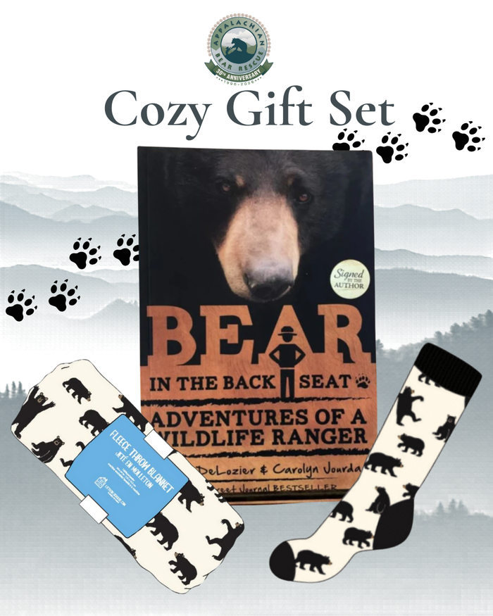 Bear in the Backseat Gift Set