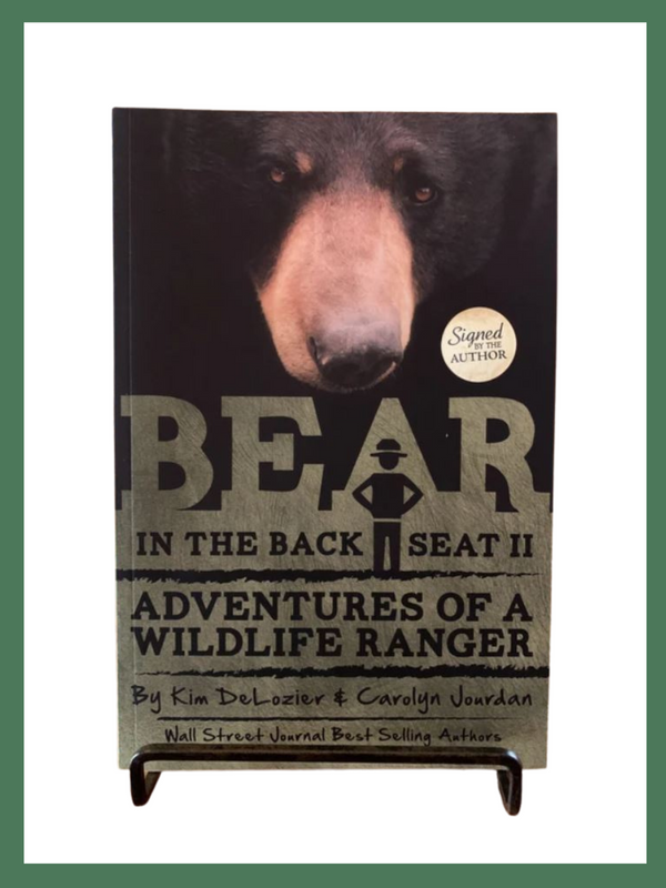 Bear in the Backseat Gift Set