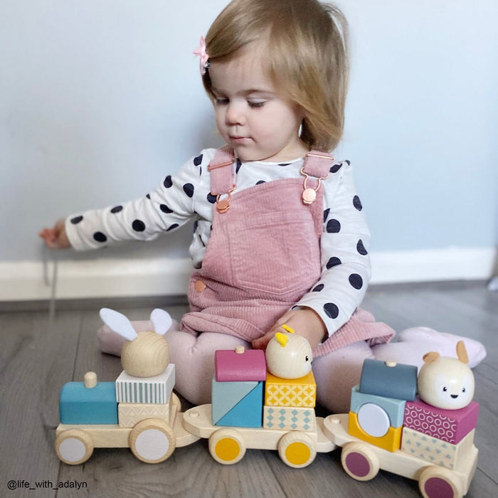 Bigjigs Toys FSC Activity Pull Along Train
