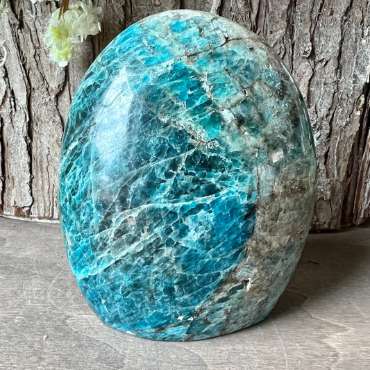 Blue Apatite Free Form