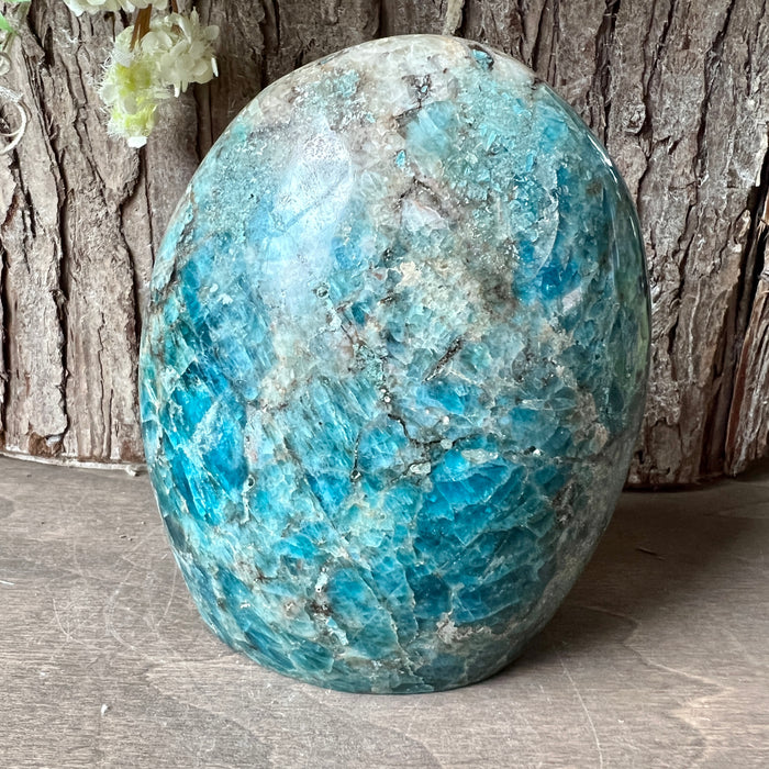 Blue Apatite Free Form