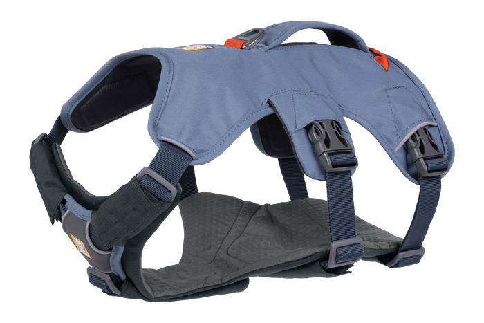 Basalt Gray (042)