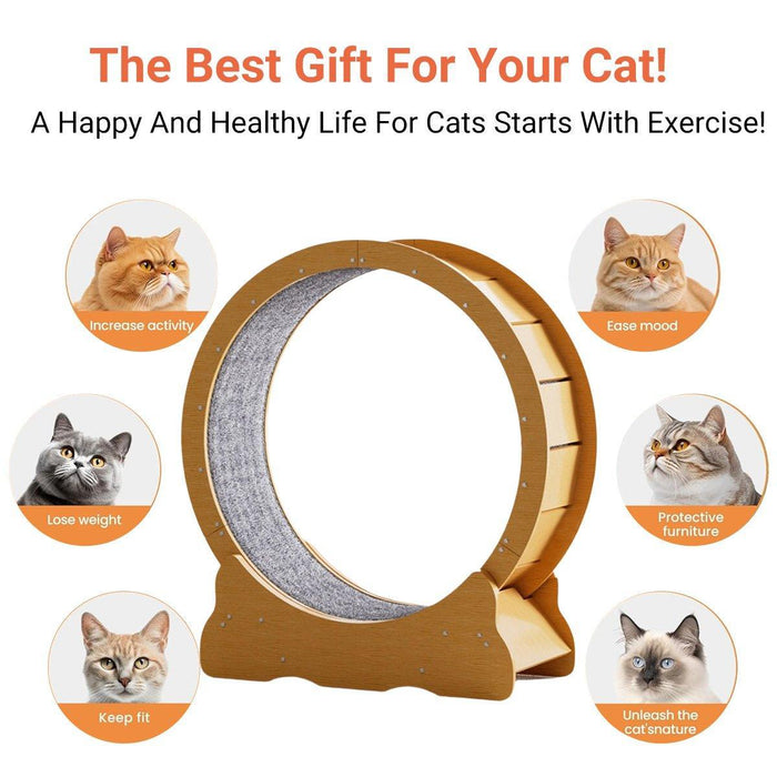 Cat Exercise Wheel Toy - Running Treadmill Exerciser Scratcher Board