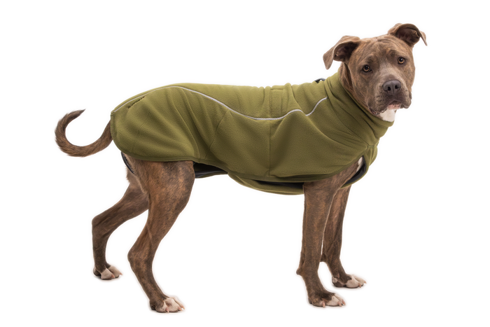 Cedar Green (302)