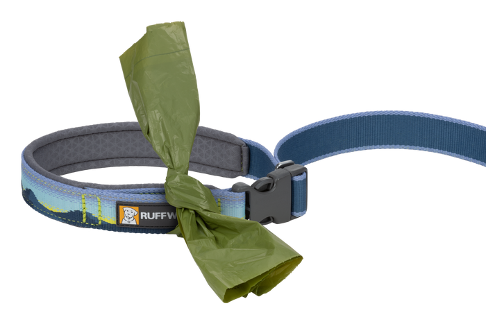 Alpine Dawn (980)