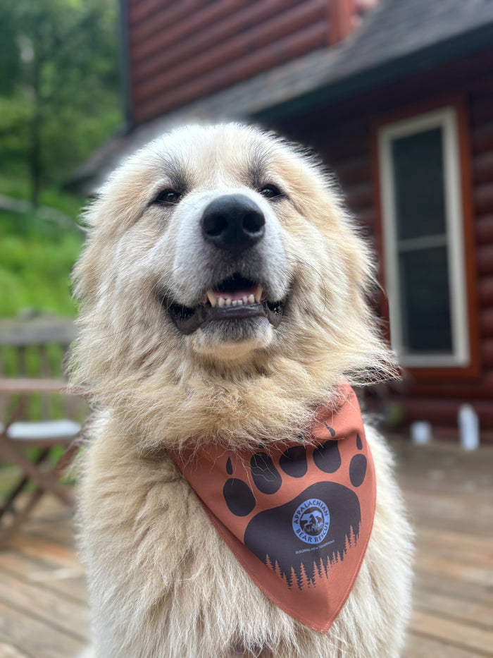 Cubs Forever Pet Bandana