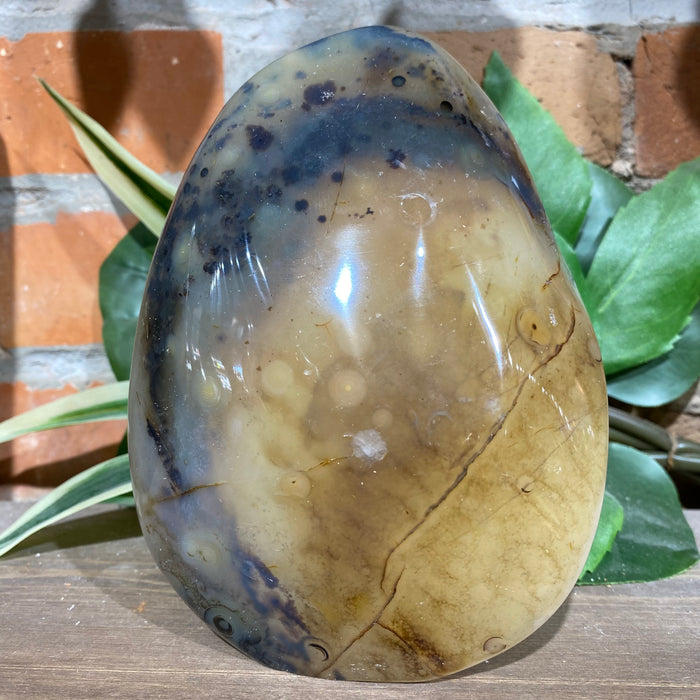 Dendritic Agate Free Form