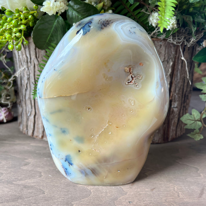 Dendritic Agate Free Form