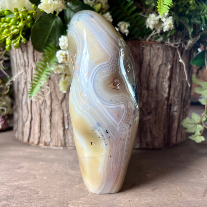 Dendritic Agate Free Form