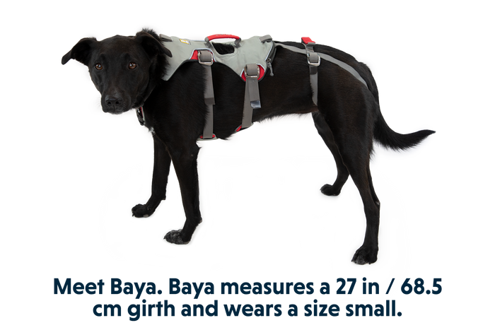 Doubleback Harness in Cloudburst Gray (045)