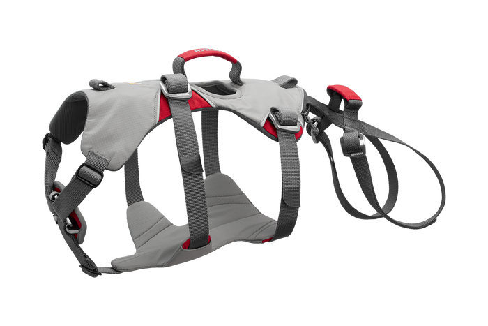 Dog Lift Harness Cloudburst Gray (045)