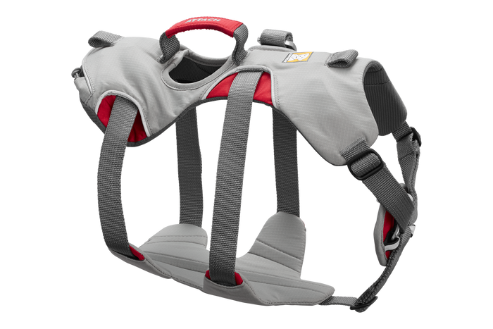 Doubleback Harness in Cloudburst Gray (045)