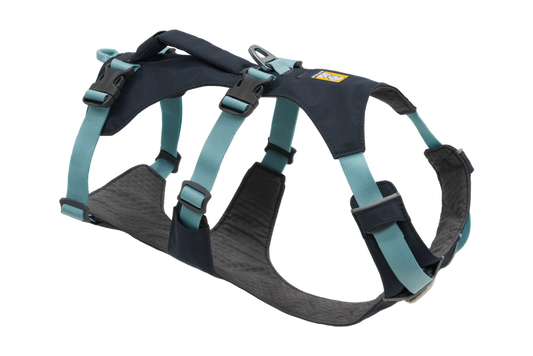 Flagline Harness Basalt Gray (042)