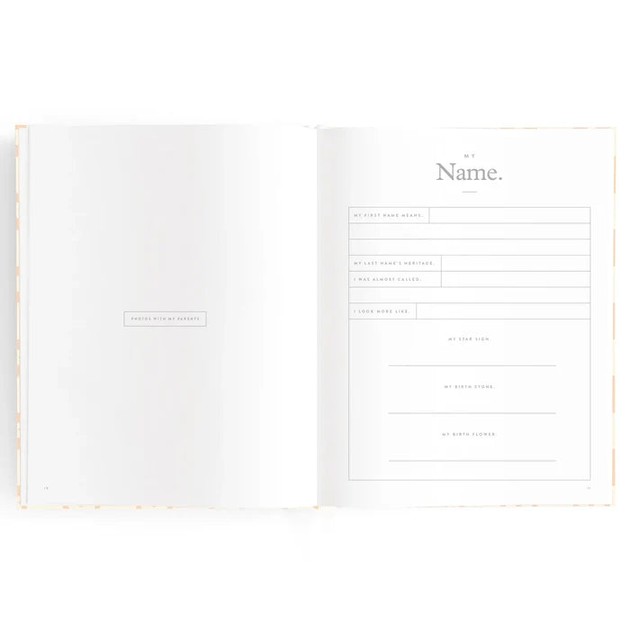 Fox & Fallow Baby Record Book - Pink Daisy Grid