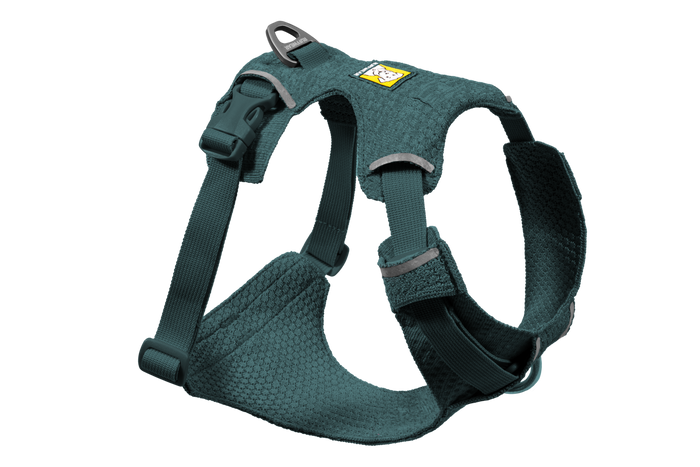 XXXSmall / Deep Teal (444) / New