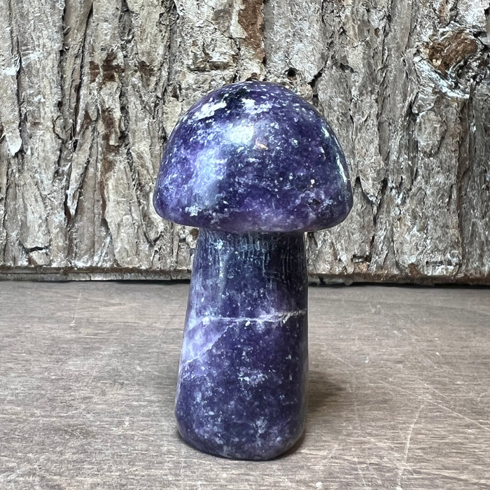 Gemstone Mushrooms