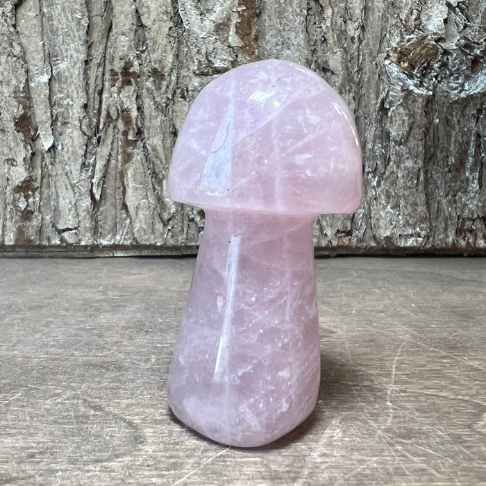 Gemstone Mushrooms