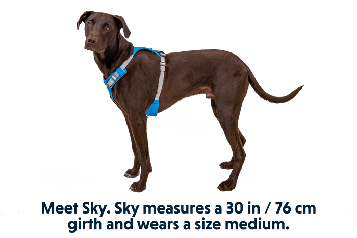 Hi and Light Harness in Blue Dusk (407)